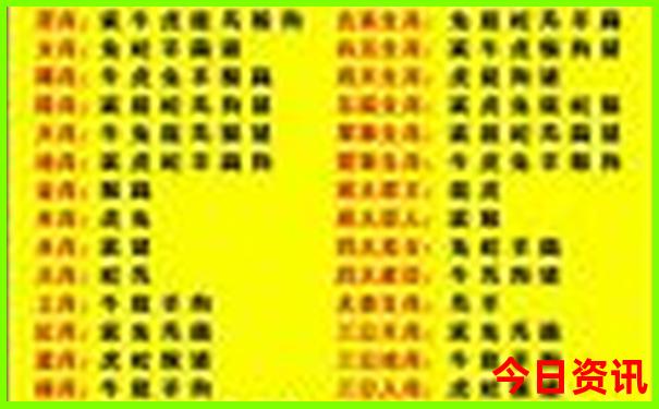 一键直达查询2025深度年值得关注天天彩深度资料-777788888管家婆免费